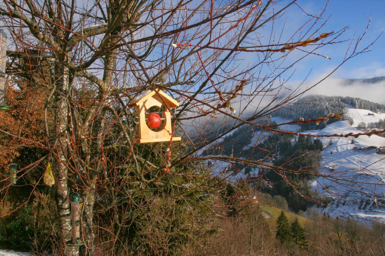 Ferienwohnung Klappacher Maria Alm am Steinernen Meer Exterior photo